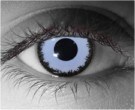  contact lenses