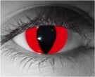  contact lenses