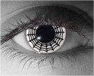  contact lenses
