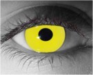  contact lenses