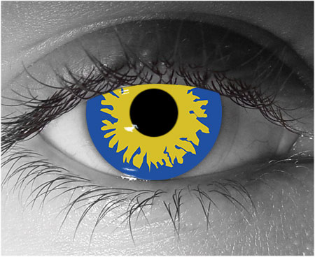  contact lenses