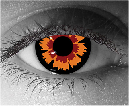  contact lenses